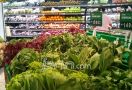 Benarkah Sayuran Pahit Ampuh Mencegah Kanker? - JPNN.com