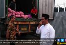 Mentan Amran Sidak ke Pasar, Pastikan Stok Bawang Putih Aman - JPNN.com