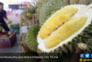 Terungkap Sudah Rahasia Bau Menyengat Buah Durian - JPNN.com
