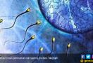 Riset Terbaru Ungkap Covid-19 Bikin Sperma Stres, Kesuburan Pria Menurun - JPNN.com