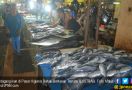 Harga Telur dan Ikan Naik, Daging Stabil - JPNN.com