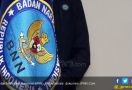BNN Tembak Mati DPO Pemasok Narkoba untuk Ibrahim Hongkong - JPNN.com