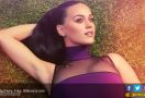 Follower Twitter Katy Perry Sebagian Fiktif? - JPNN.com