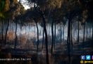 Hutan Kota Terbakar, 1.800 Warga Dievakuasi - JPNN.com