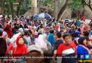 Libur Natal, Taman Margasatwa Ragunan Dipadati 78 Ribu Pengujung - JPNN.com