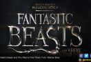 Yang Baru dan Kembali di Sekuel Fantastic Beasts and Where to Find Them - JPNN.com