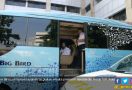 Blue Bird Luncurkan Layanan Angkutan Wisata Berstandar Kelas VIP - JPNN.com