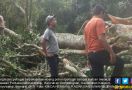 Bunuh Diri di Pohon Beringin, Jasad Sulit Diturunkan, Akhirnya... - JPNN.com