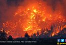 Kebakaran Lahan Besar, British Columbia Darurat - JPNN.com