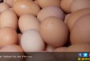 10 Manfaat Telur Rebus yang Tidak Terduga, Bikin Wanita Ketagihan Mengonsumsinya - JPNN.com