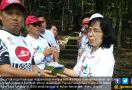 Beratnya Perjuangan Mengambil Tanah-Air Minut, Harus Lewati 1000 Anak Tangga - JPNN.com