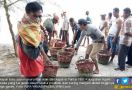 Harga Garam Naik 500 Persen, Kasihan Nelayan Produsen Ikan Kering - JPNN.com