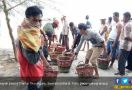 Harga Garam Naik 500 Persen, Nelayan Pesisir Tiku Berhenti Produksi Ikan Kering - JPNN.com