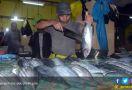 Pontianak Gelar Festival dan Lomba Masak Ikan Nusantara untuk Jokowi - JPNN.com