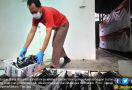 Burung Kacer Seludupan dari Malaysia Mati Satu Per Satu, Flu Burung? - JPNN.com