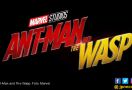 Pertanyaan Besar Pasca-Infinity War: Di Mana Ant Man? - JPNN.com