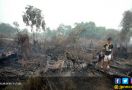 Waspada, Hutan Jati di Sini Mulai Rawan Terbakar - JPNN.com