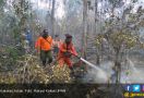 Kebakaran Hutan Meluas, Helikopter Pembom Air Dikerahkan - JPNN.com
