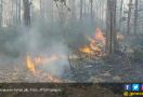3 Cara Mencegah Gangguan Pernapasan Akibat Kebakaran Hutan - JPNN.com