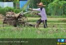 Kementan: Petani adalah Pelaku Utama Pembangunan Pertanian - JPNN.com