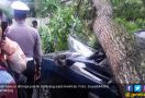 Pohon Tumbang Hantam Mobil hingga Remuk, Penumpangnya, Ya Ampun… - JPNN.com