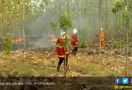 Kebakaran Hutan Jati Makin Meluas, Jadi 20 Hektar - JPNN.com