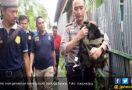 Diduga Terlibat Teror Kampung Melayu, Warga Bagansiapiapi Ditangkap Densus 88 - JPNN.com