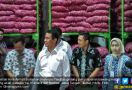 Mentan Targetkan Kopi Indonesia Terbaik di Dunia - JPNN.com