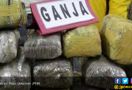 Gudang Ganja 144 Kilogram di Bandarlampung Digerebek Polisi - JPNN.com