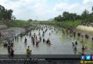 Banyak Ikan Mabuk, Warga Serbu Sungai - JPNN.com