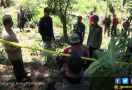 Polisi Temukan Ladang Ganja di Kaki Gunung Tanggamus - JPNN.com