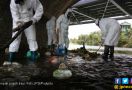 Botol Plastik dan Popok Bayi Penuhi Sungai di Kota - JPNN.com
