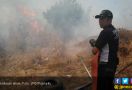Gara-Gara Dua Puntung Rokok, 42 Hektar Lahan Terbakar - JPNN.com