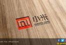 Gandeng Xiaomi, Xapads Media Siap jadi Mitra untuk Asia Tenggara - JPNN.com