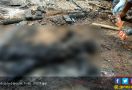 Tewas Terbakar Akibat Puntung Rokok Sendiri - JPNN.com