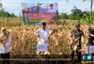 HPS Tunjukkan pada Dunia Pertanian Indonesia Cukup Maju - JPNN.com