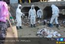 Ratusan Sampah Popok Bertebaran di Pantai - JPNN.com
