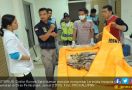 Muncul Dugaan Mayat di Karung Korban Mutilasi - JPNN.com