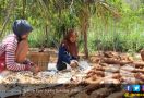 Jokowi Serahkan SK Pemanfaatan Hutan Untuk Petani di Bekasi - JPNN.com