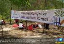 Kunjungan Wisata ke Hutan Mangrove tak Terdampak Tumpahan Minyak - JPNN.com