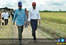 Mentan Tambah Bantuan Benih untuk Petani Lampung Timur - JPNN.com