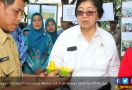 Mangga Unik dari Petani untuk Menteri Siti - JPNN.com