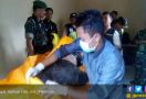 Polisi Buru Tekong Berinisial A Terkait Temuan Mayat - JPNN.com