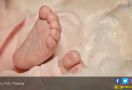 Benda Aneh itu Ternyata Mayat Bayi yang Mengapung di Kali - JPNN.com