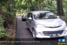 Tolong, Tinjau Lagi Kebijakan Mobil Masuk Kebun Raya Bogor - JPNN.com