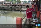 Buang Sampah Sembarangan di Sungai, Lihat Nih Hasilnya - JPNN.com
