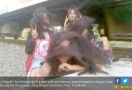 Crazy, Demi Selfie Ekstrem Malah Tertampar Angin Kereta Api - JPNN.com