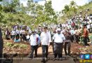 Jokowi Pertanyakan Hasil Program Menanam Satu Miliar Pohon - JPNN.com