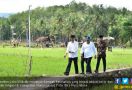 Presiden Jokowi Minta Pemulihan Pancabencana Dilakukan Cepat - JPNN.com