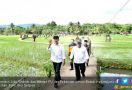 Jokowi Minta Pemulihan Dampak Bencana Dipercepat - JPNN.com